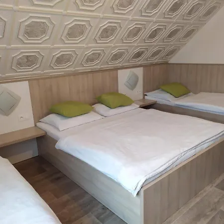 Apartmany Okoun Velké Losiny Exterior photo
