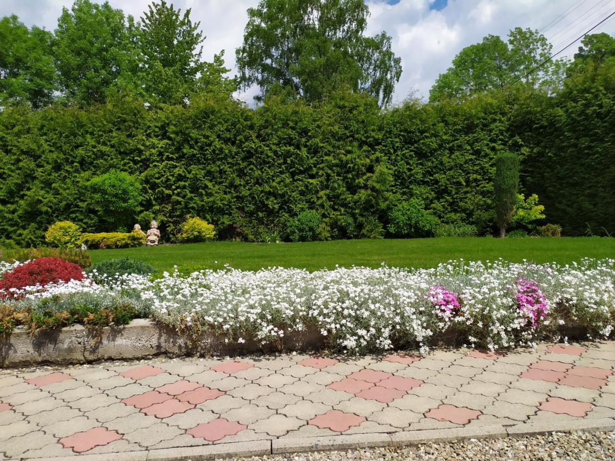 Apartament Okoun *